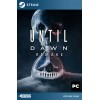 Until Dawn Remake 2024 Steam [Singleplayer Only]